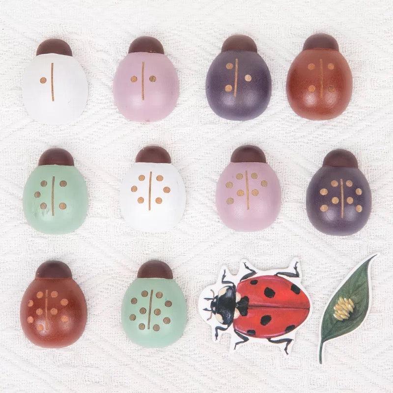 Montessori Wooden Maths Learning | Ladybug Study