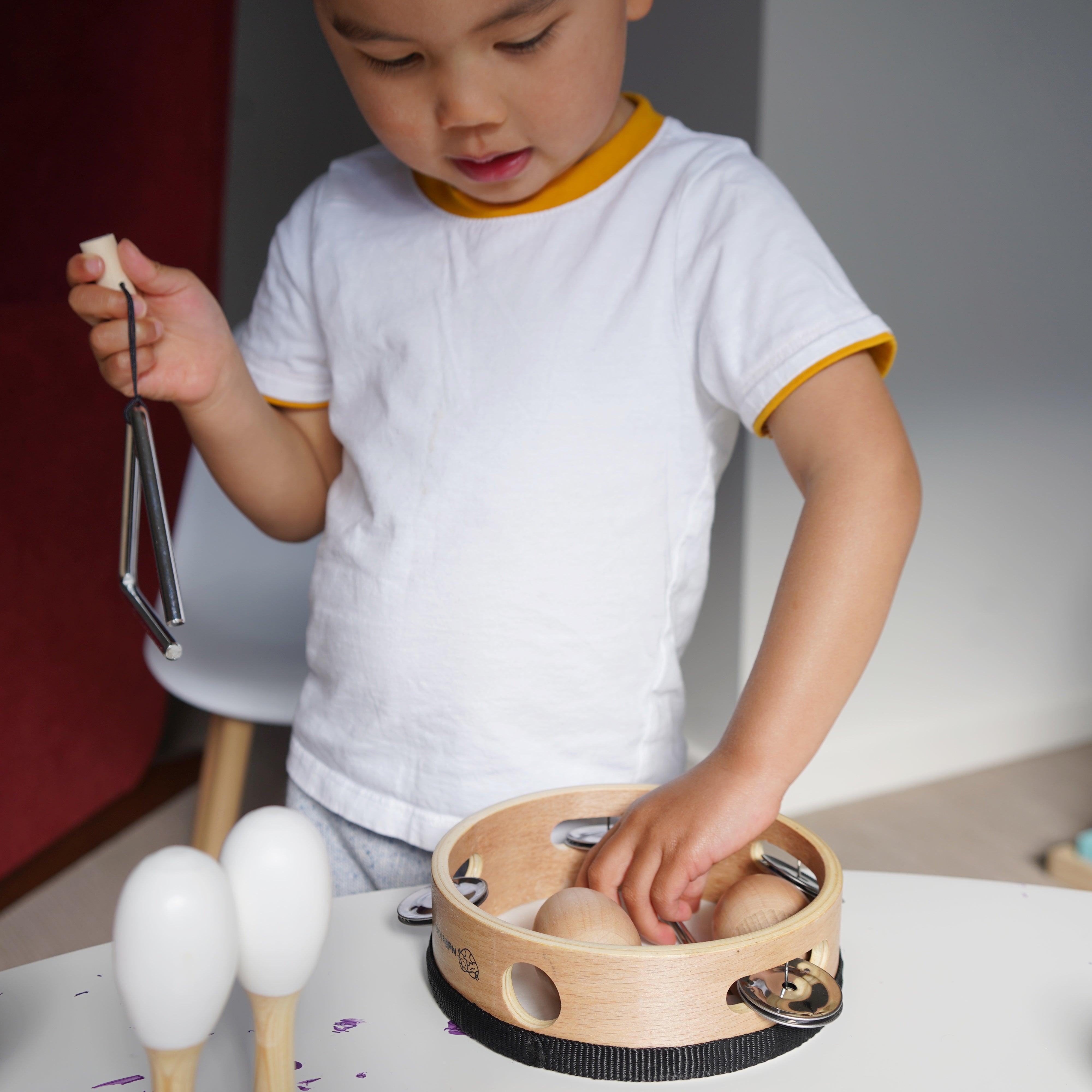 Nature Kit Musical Instrument Toy