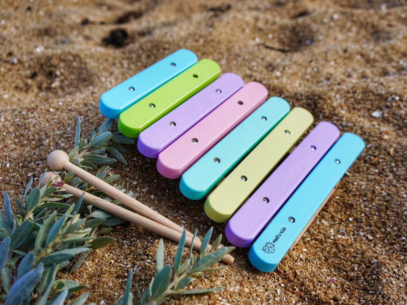 Pastel Xylophone for kid